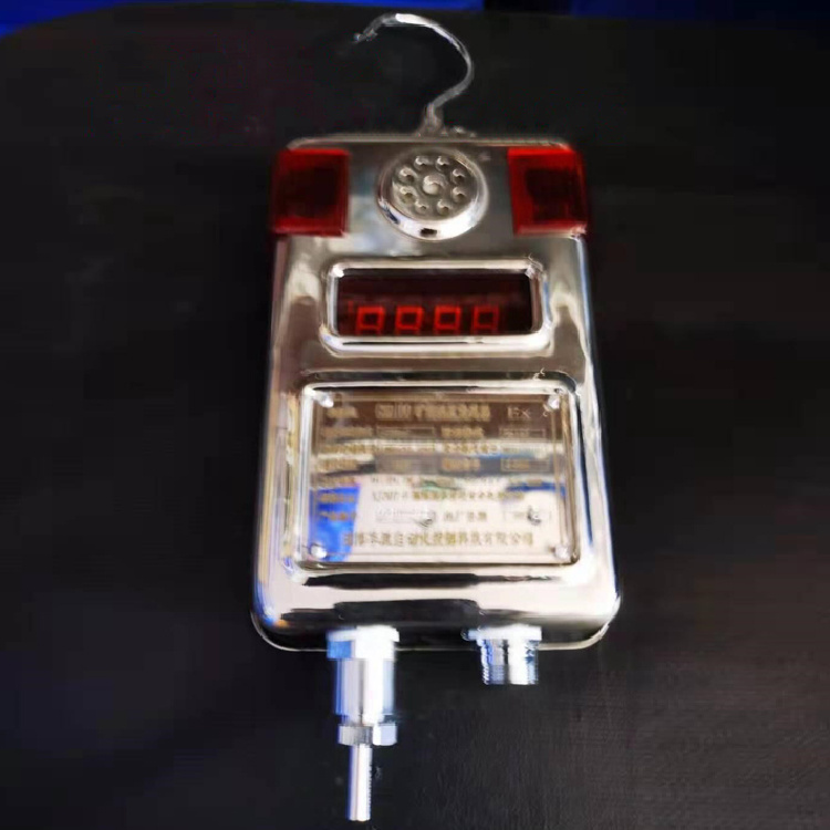 GWD100礦用溫度傳感器-上海埃意自動控制有限公司